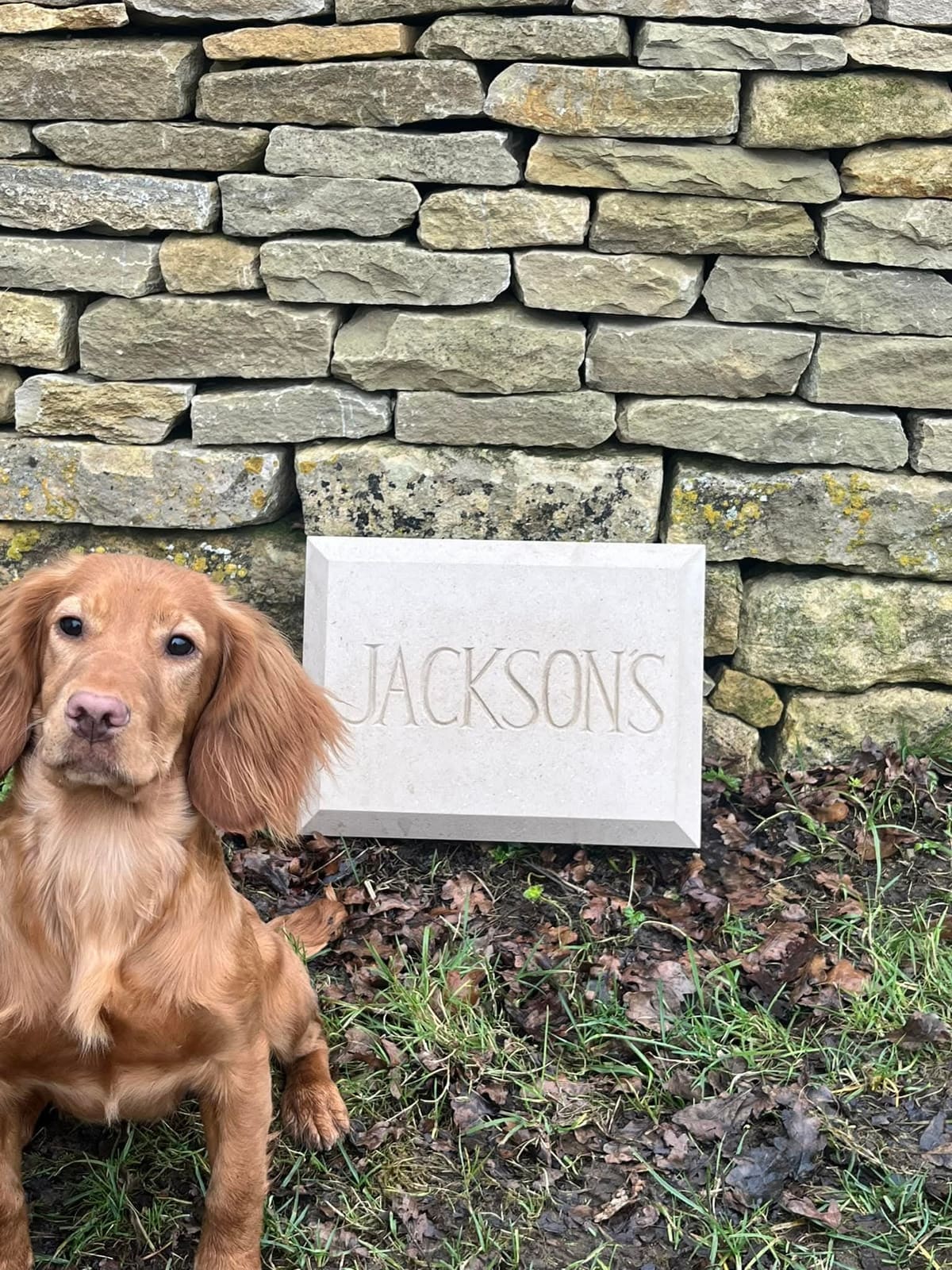 The carved stone sign unpainted against a dry stone wall, its lettering reading by shadow, with a cocker spaniel sitting alongside